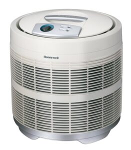 Top 10 Best Home Air Purifiers